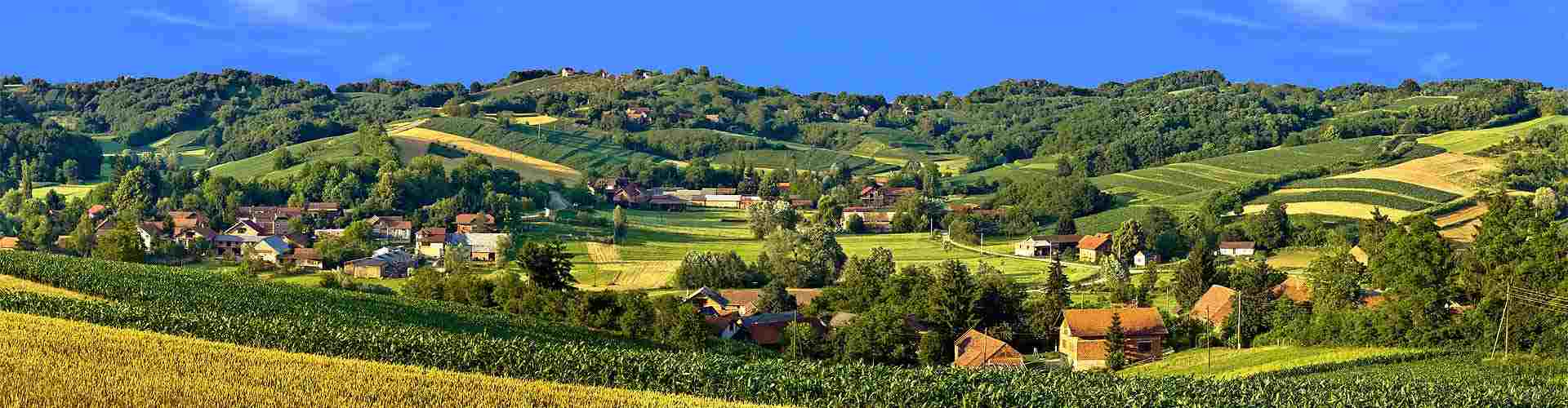 Casas rurales para celebraciones en Castilla - La Mancha
          
          

