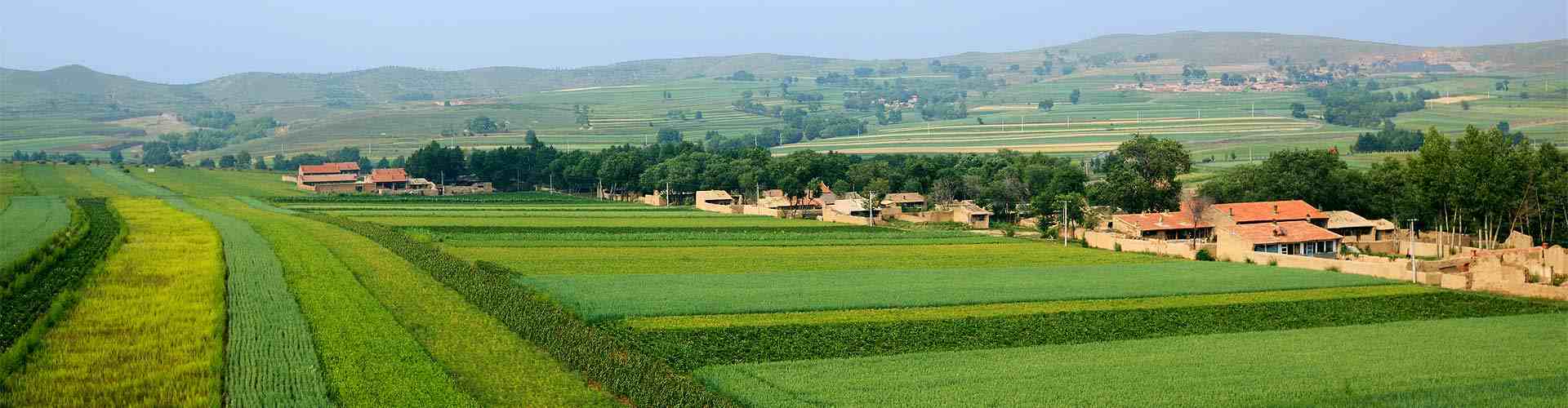 Casas rurales en Asprella