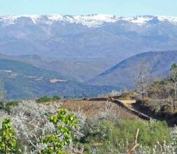 vistas desde la casa